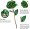 24K Green Rose for Her, Dipped Gold Rose Love Real Golden Plated Preserved Eternal Flower with Rose Stand Present for Wife/Mom/Grandma (Green)
